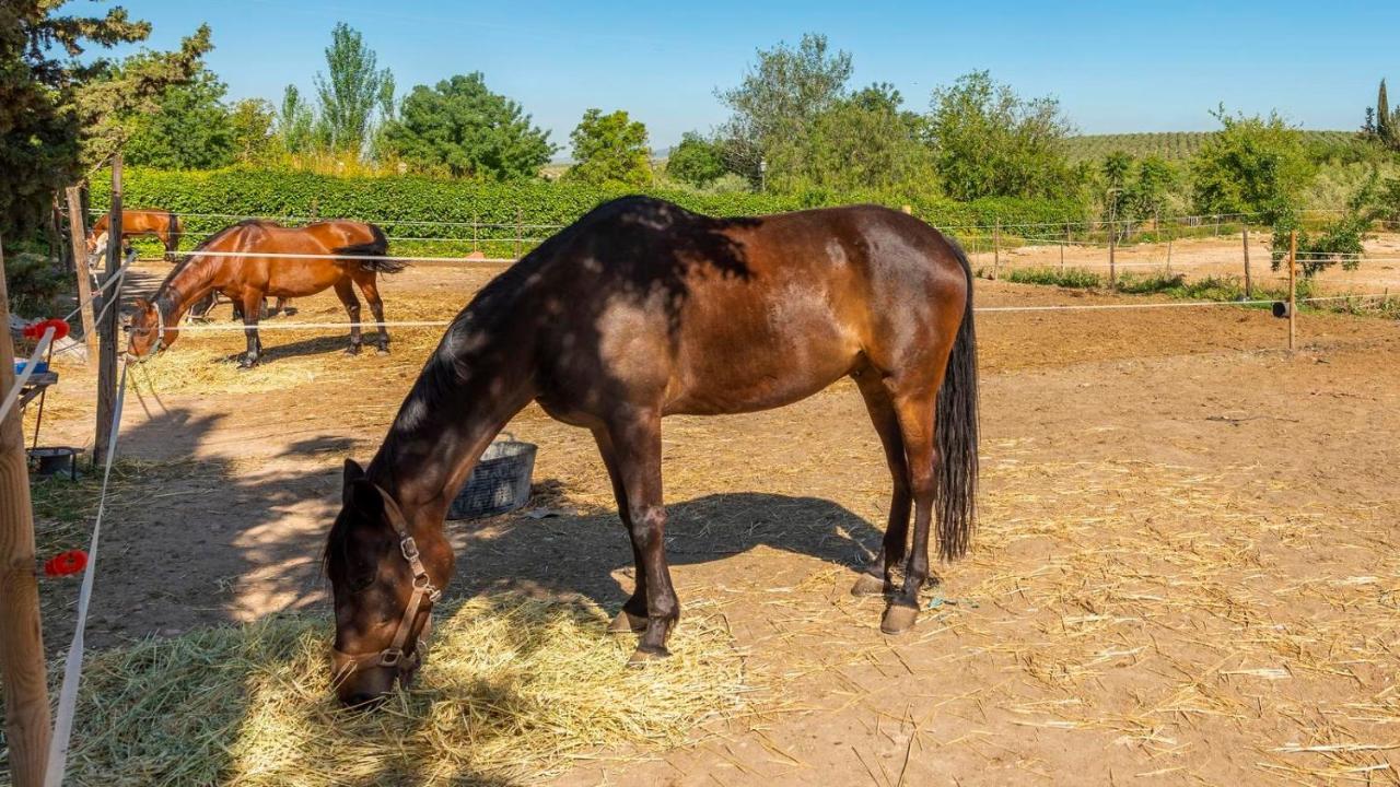 فيلا Cortijo Carrillo Antequera By Ruralidays المظهر الخارجي الصورة