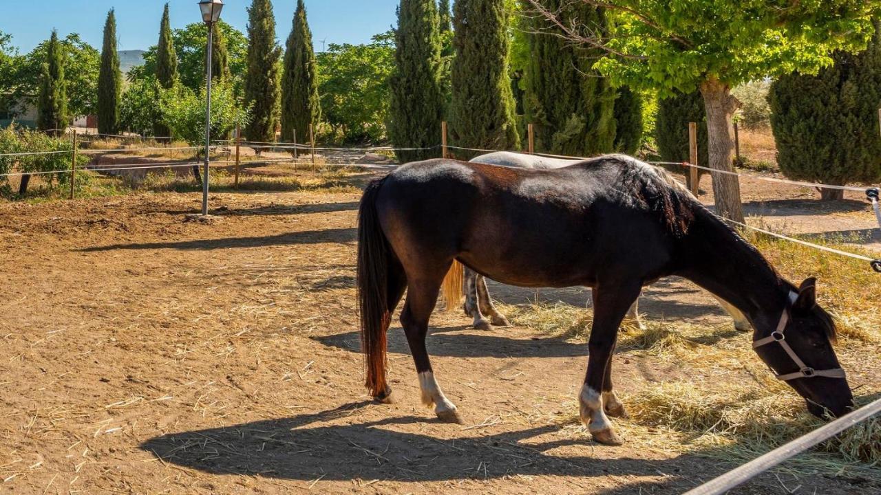 فيلا Cortijo Carrillo Antequera By Ruralidays المظهر الخارجي الصورة